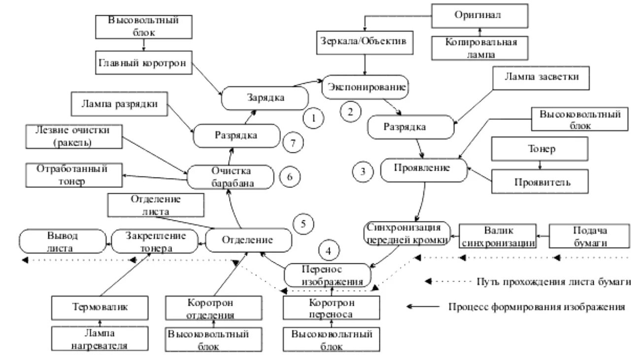 Структурная схема копировального аппарата. Процесс работы копировального аппарата схема. Структурная схема лазерного принтера. Схема ксерографического процесса.