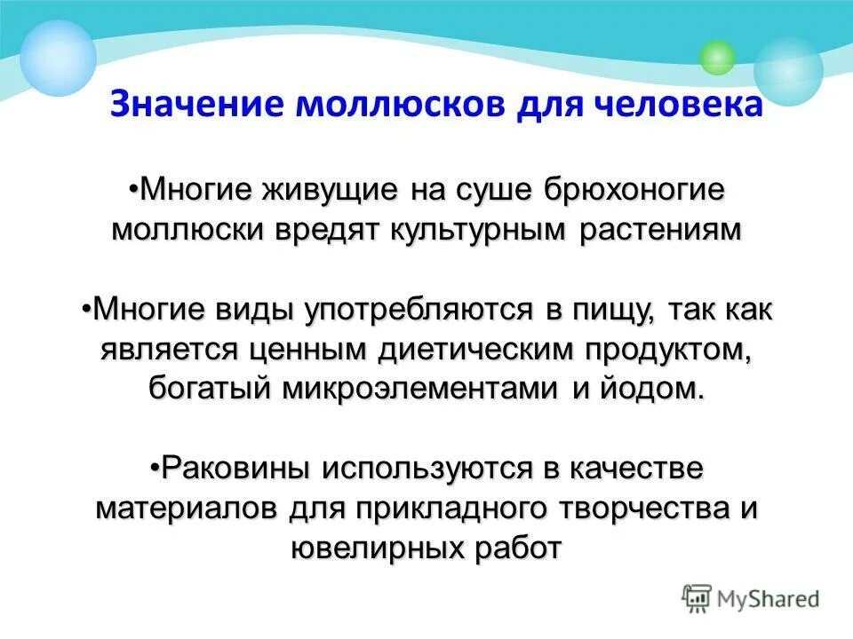 Презентация - Тип моллюски. " Улитка ,улитка высунь рога, дам тебе хлеба, кусок 