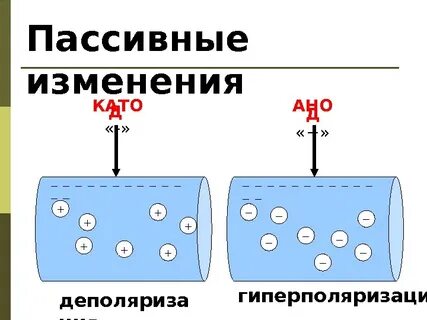 Пассивное изменение