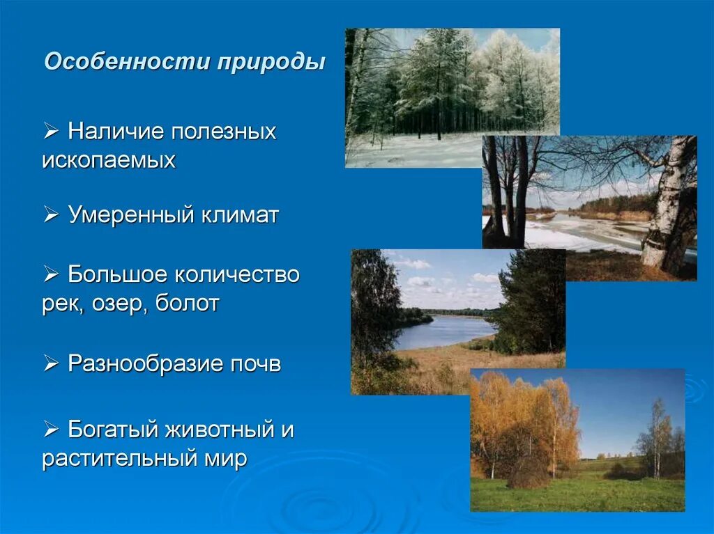 3 края нижегородской области. Разнообразие природы Нижегородского края. Природа родного края Нижегородского. Особенности природы Москвы. Природа для презентации.