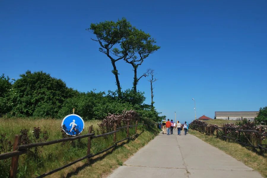 Поселок лесной куршская коса. Las Promenadoz Куршская коса. Поселок Лесной на Куршской косе. Променад в Лесном на Куршской косе.