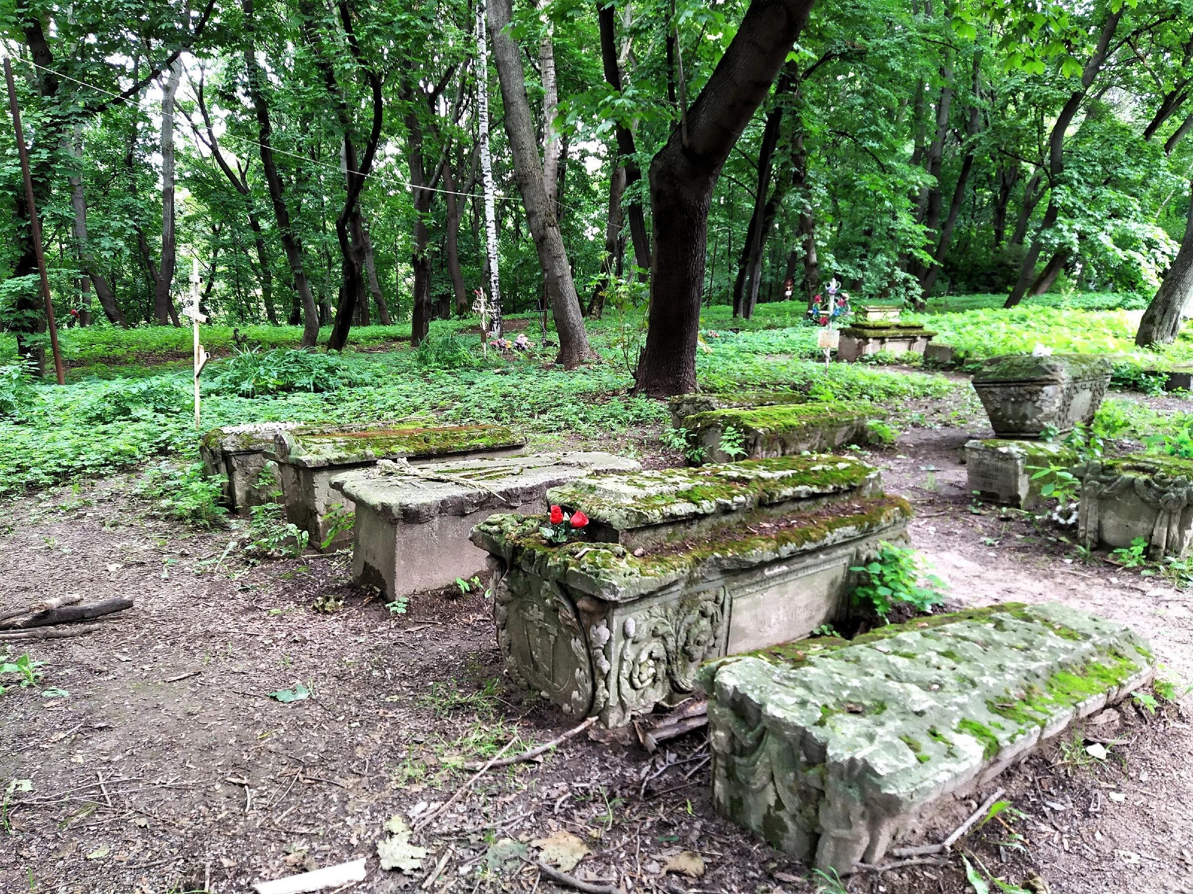 Где находится некрополь. Дьяковское кладбище в Коломенском. Дьяковское кладбище Москва. Усадьба Полтево некрополь. Семенов.Горьковская.Дьяковское.кладбище..