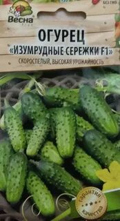 Огурцов изумрудные сережки