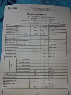 Прием гематолога какие анализы