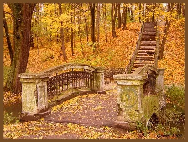 Есть в старом парке черный. Старый осенний парк. Старый парк осенью. Осень в старинных парках. Осенний парк с усадьбой.