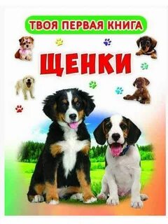 Твоя первая книга