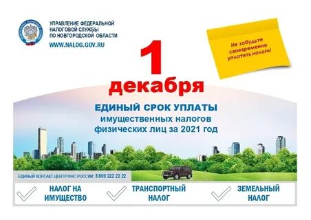 Срок уплаты земельного налога 3 квартал 2024