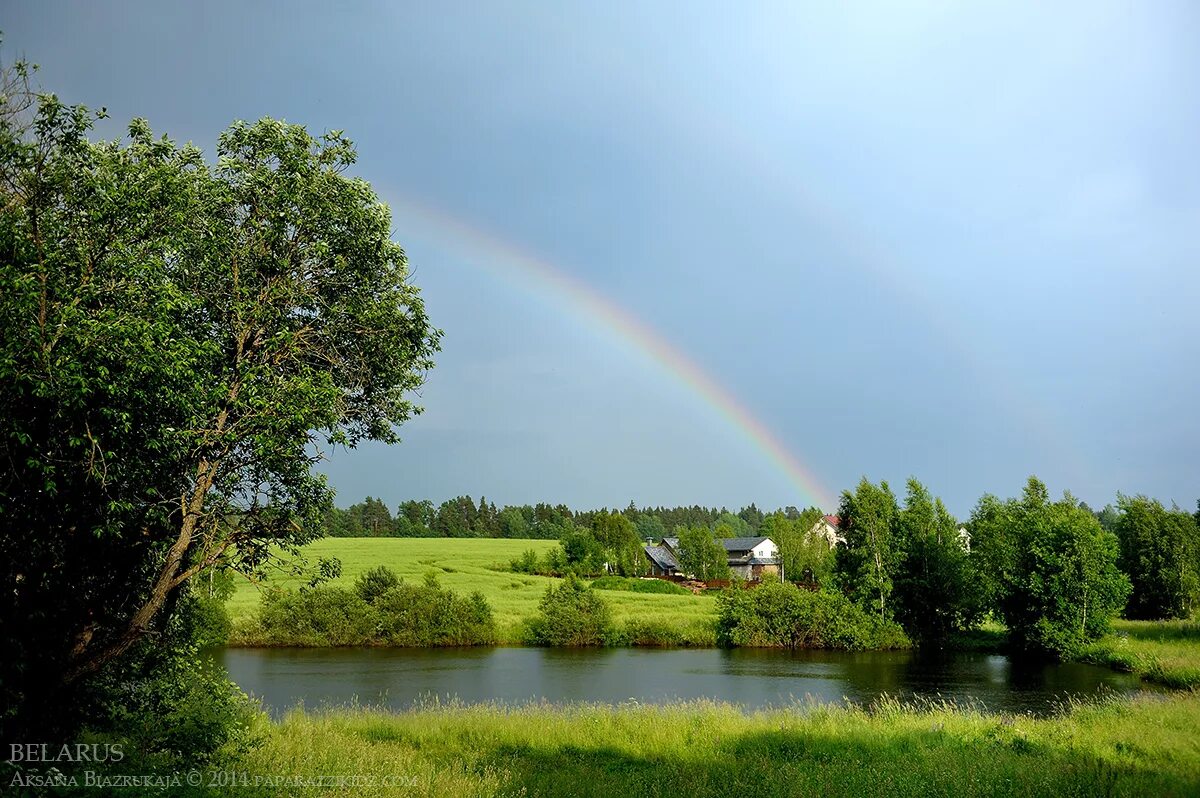 Какое будет лето в беларуси. Родные просторы Пушгоры. Беларусь природа. Беларусь пейзажи природа. Беларусь природ лето.