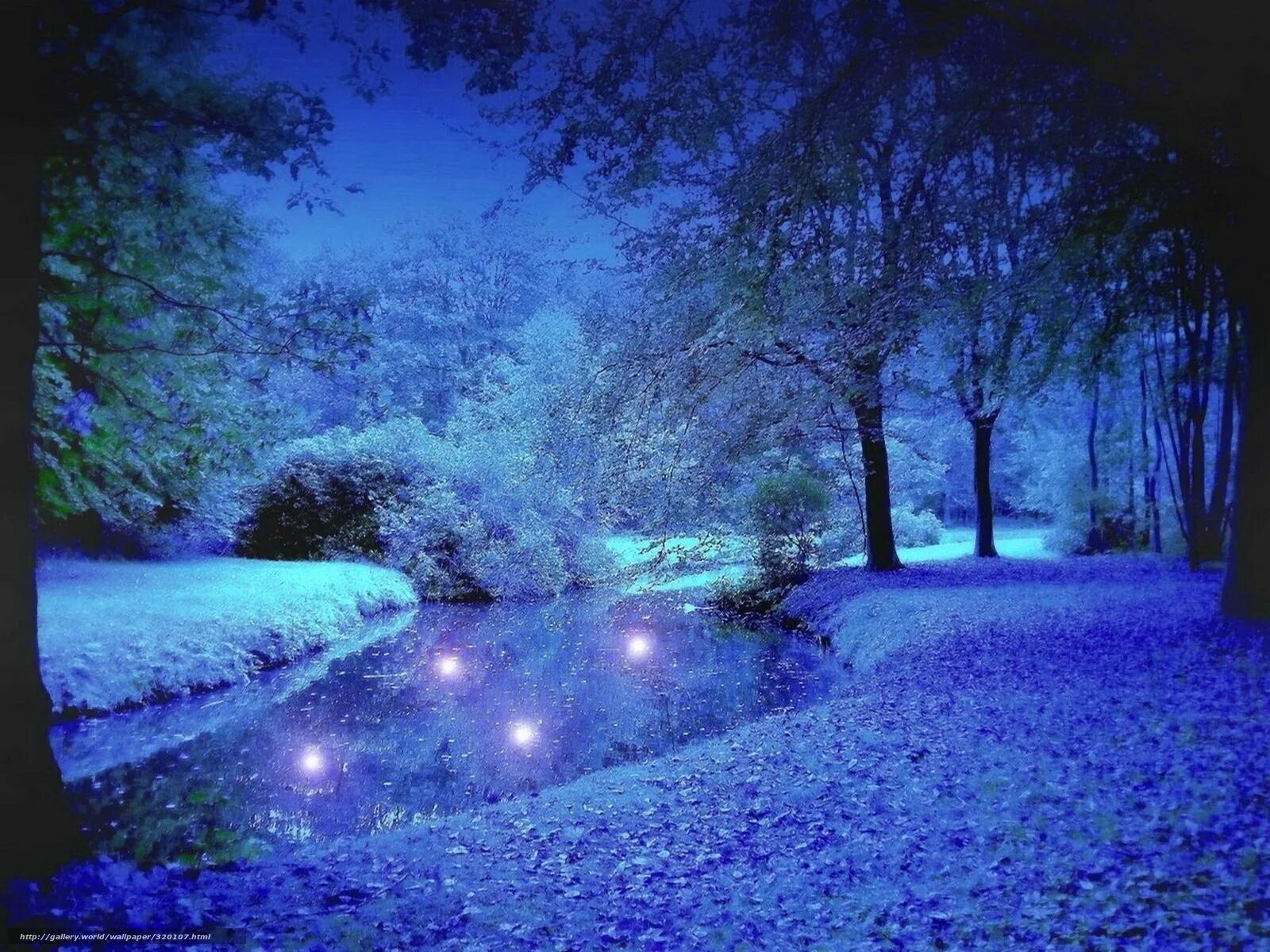 красивая природа зимой ночью. красивая природа зимой ночью. зима. зимний ночной пейзаж. зима.