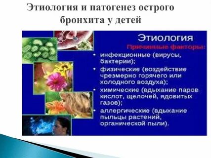 Этиология бронхита у детей