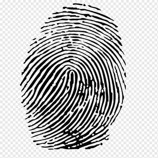 Fingerprint github