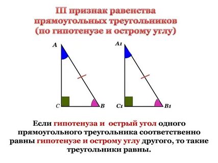 Если катет и острый угол одного