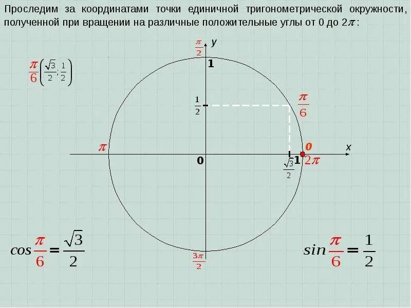Точки на единичной окружности. Найти координаты точки на единичной окружности. Точки координат на тригонометрической окружности. Числовая окружность тригонометрия 3п. Координаты окружности.