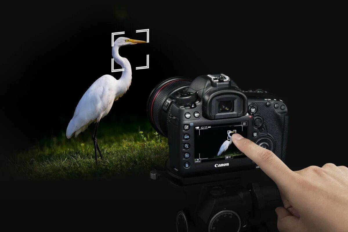 Ox zung camera footage. Фотоаппарат Canon 5d Mark 4. Canon Mark 5. Съёмка на Canon 5d Mark 4. Фотоаппарат Mark 5 Canon reklama.