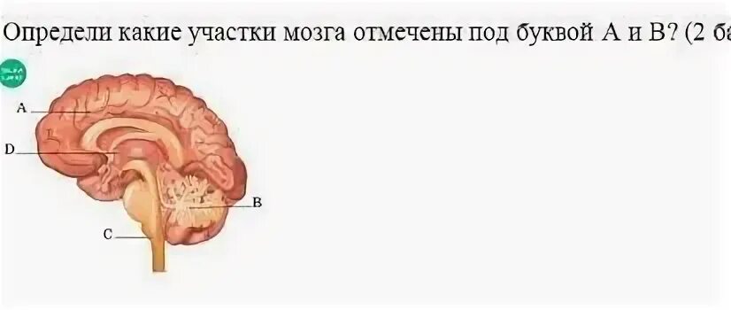 Как определить под