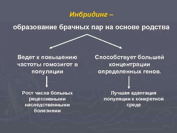 Гибридизация близкородственное скрещивание. Инбридинг. У животных: • инбридинг (близкородственное скрещивание);. Инбридинг примеры. Гибридизация животных инбридинг.