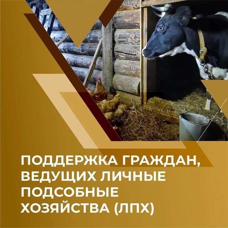 Как оформить лпх 2025. Сельское хозяйство республики коми. республика коми сельское хозяйство кратко. как вести подсобное хозяйство. граждане ведущие лпх объявление картинки.