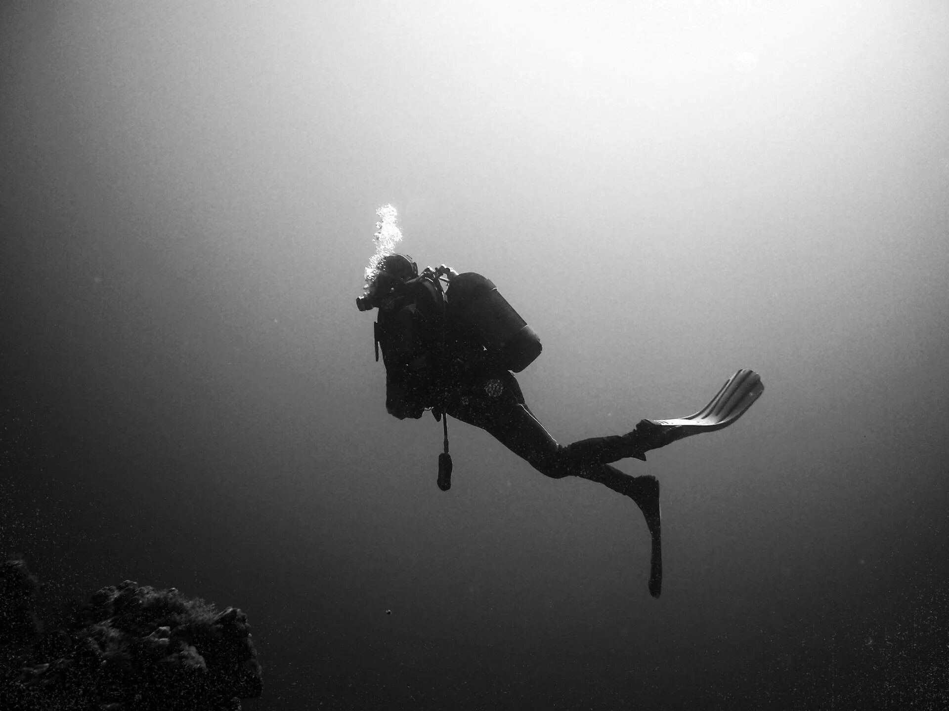 Dark dive