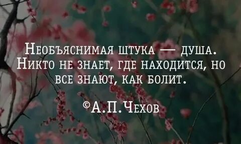 Душа знает все ответы