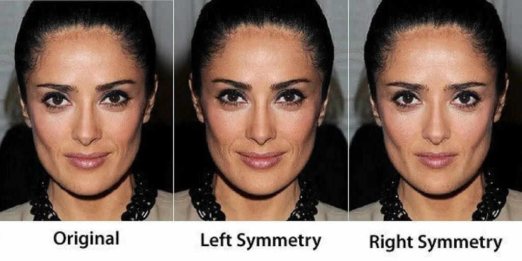 Сальма Хайек овал лица. Асимметрия лица. Симметричное лицо. Зеркальная симметрия лица.