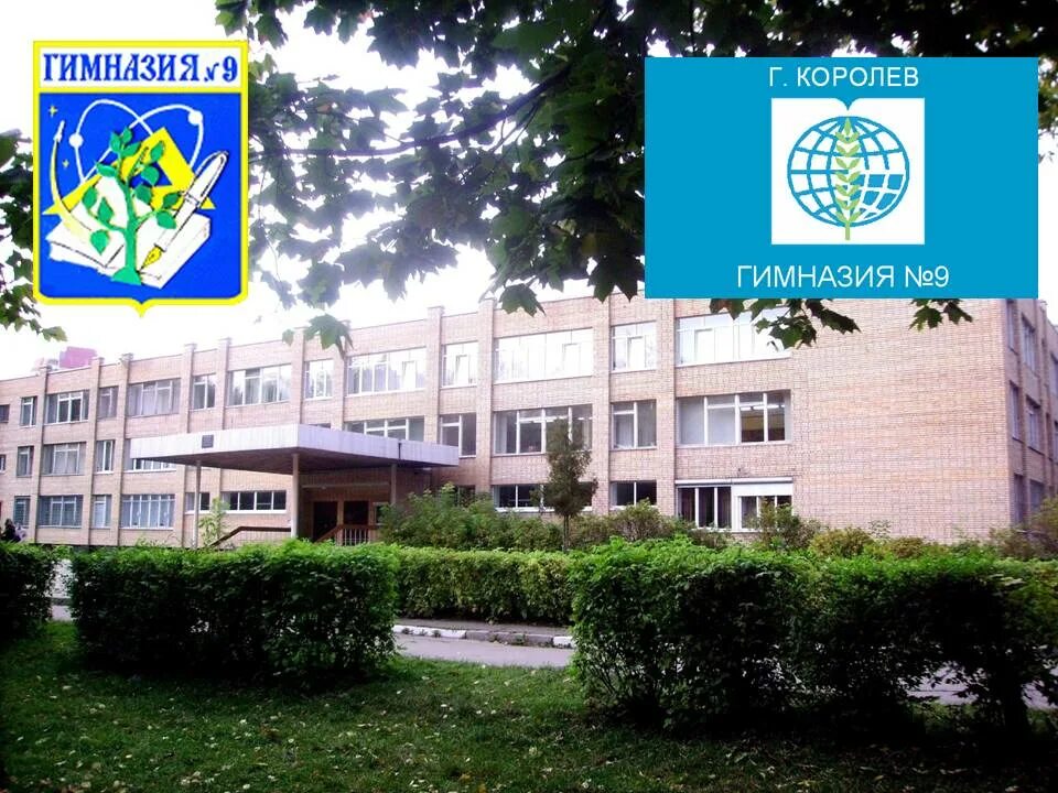 Сайт гимназии московская область