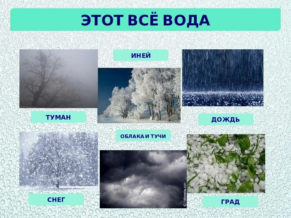 Тест виды осадков