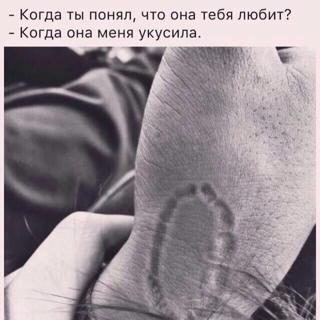 Оставили след зубы