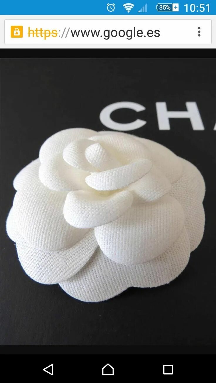 Камелия chanel. Камелия chanel. Цветок шанель камелия. Камелия коко шанель. Брошь камелия коко шанель.