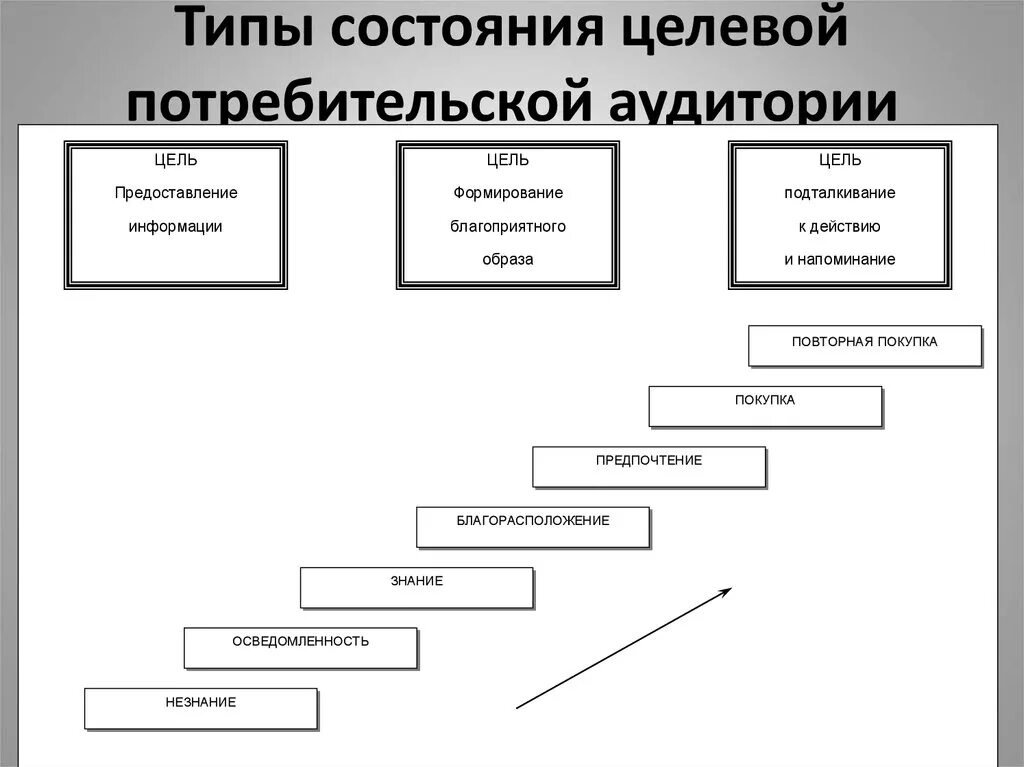 Какие типы аудитории. Виды целевой аудитории. Целевая аудиториявидф. Уелевач аудиторич ТИПВ. Типажи целевой аудитории.