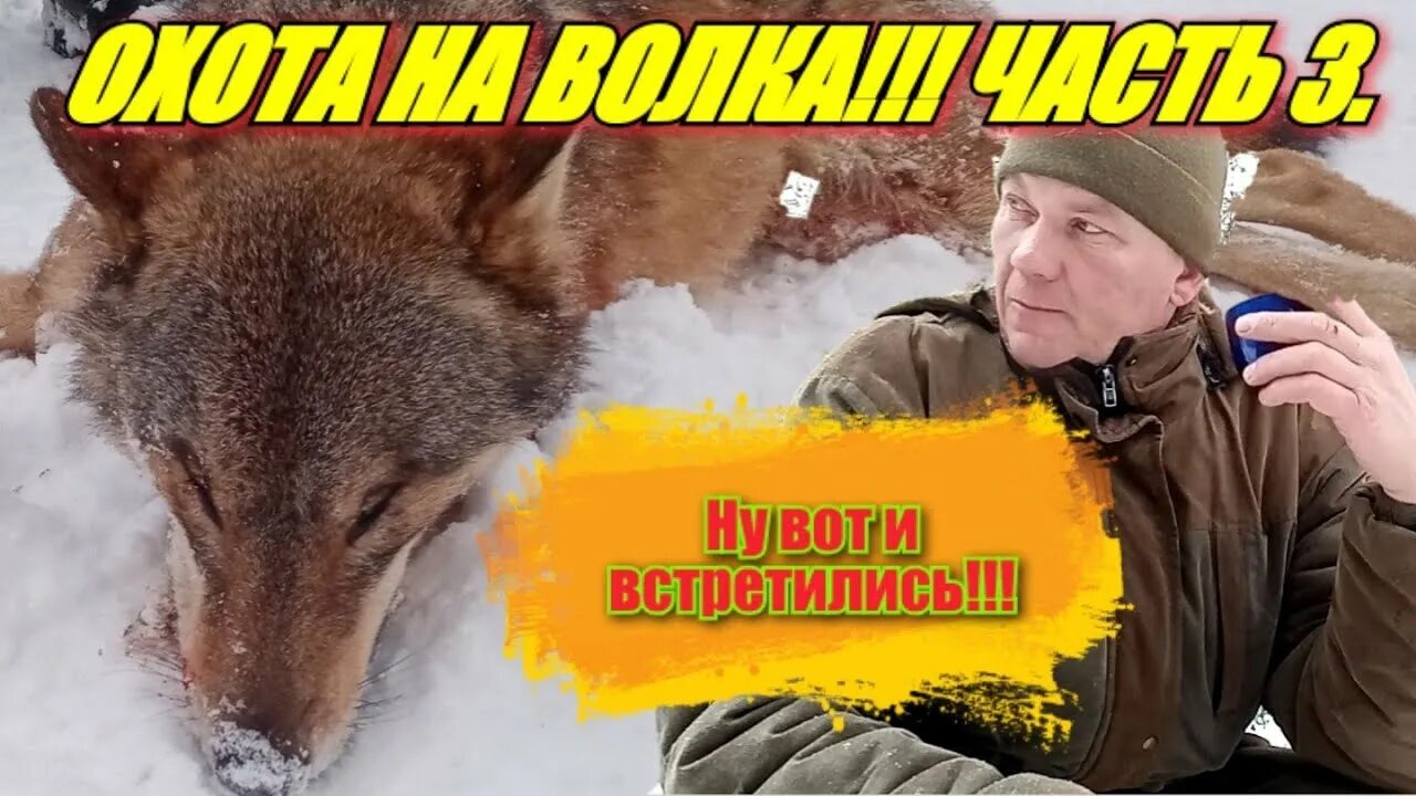 Проект охота на волков 2 часть Корабль в Пусан (2022)