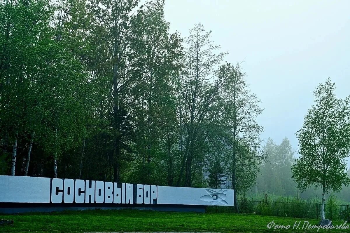 Площадь в сосновом бору
