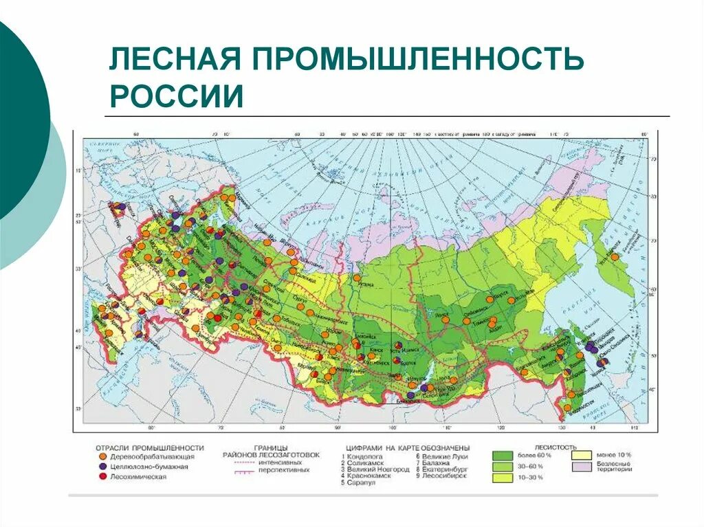 Центры лесной отрасли в россии