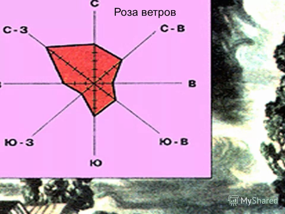 Один из 4 ветров 3