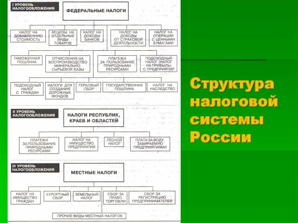 Структура налоговой системы. Структура налогообложения. Структура налоговой системы России. Состав и структура налоговой системы РФ. Налоговая система в рф представлена