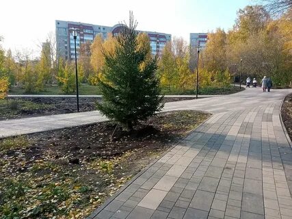 Барнаул роща