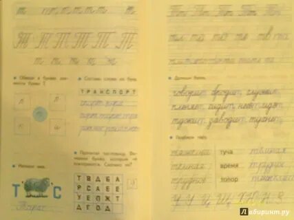 Чудо пропись 3 стр 27