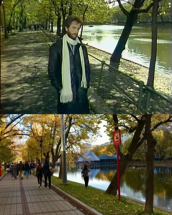 Чистые пруды веков зеленый сон. Ивы на чистых прудах. Чистые пруды ивы. Чистые пруды застенчевыеивы. Ивы на чистых прудах.