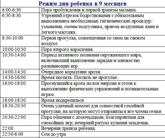 Сон в 6 месяцев форум. Режим ребёнка в 9 месяцев. распорядок дня грудничка в 9 месяцев. распорядок дня 9 месячного ребенка на гв. режим ребенка в 9 месяцев распорядок дня по часам таблица.