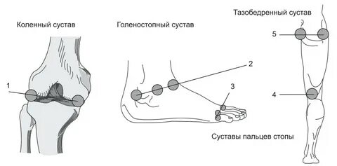 Витафон коленный сустав