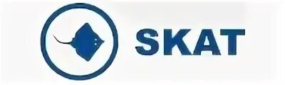 Skat dk