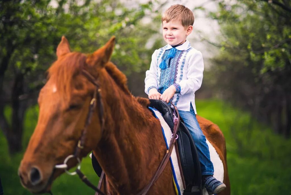 Мальчик на лошадке. Мальчик на лошади. Мальчик на коне. Фотосессия с лошадьми. Мальчишки на лошадях.