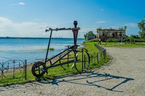 Бел березники