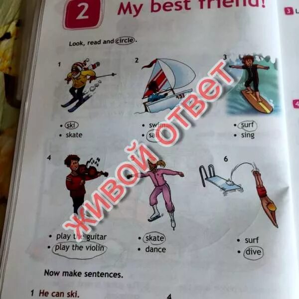 Now make sentences