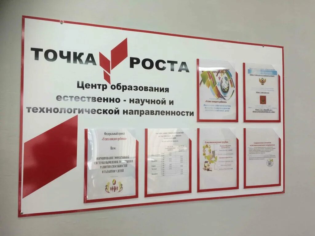 Точка в центре текста. Точка роста. Центр точка роста. Точка роста информация. Проект точка роста.