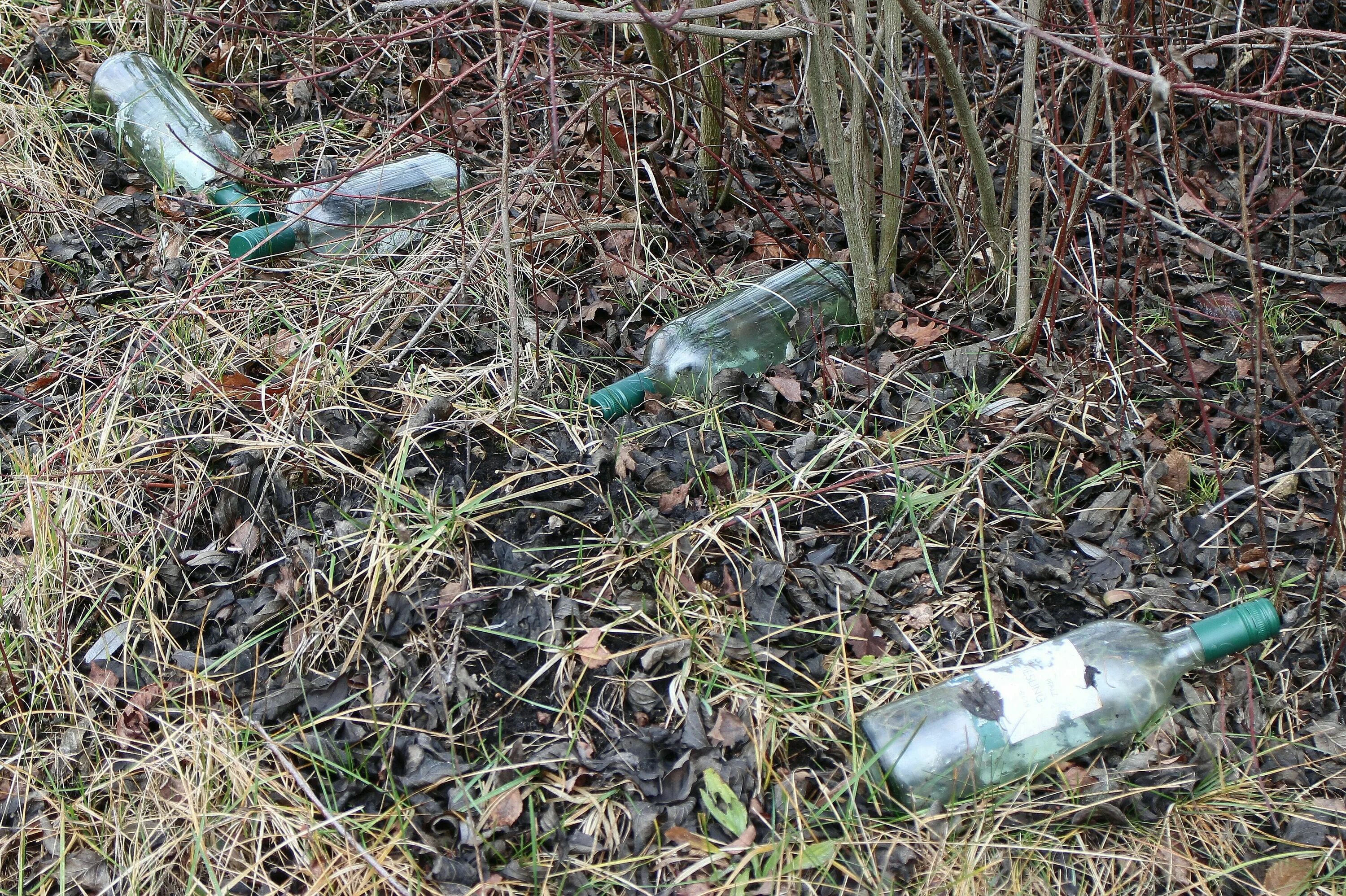 Мусорка с бутылками. Бросает бутылку. Стеклянная бутылка в лесу.