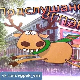 Подслушано белгород