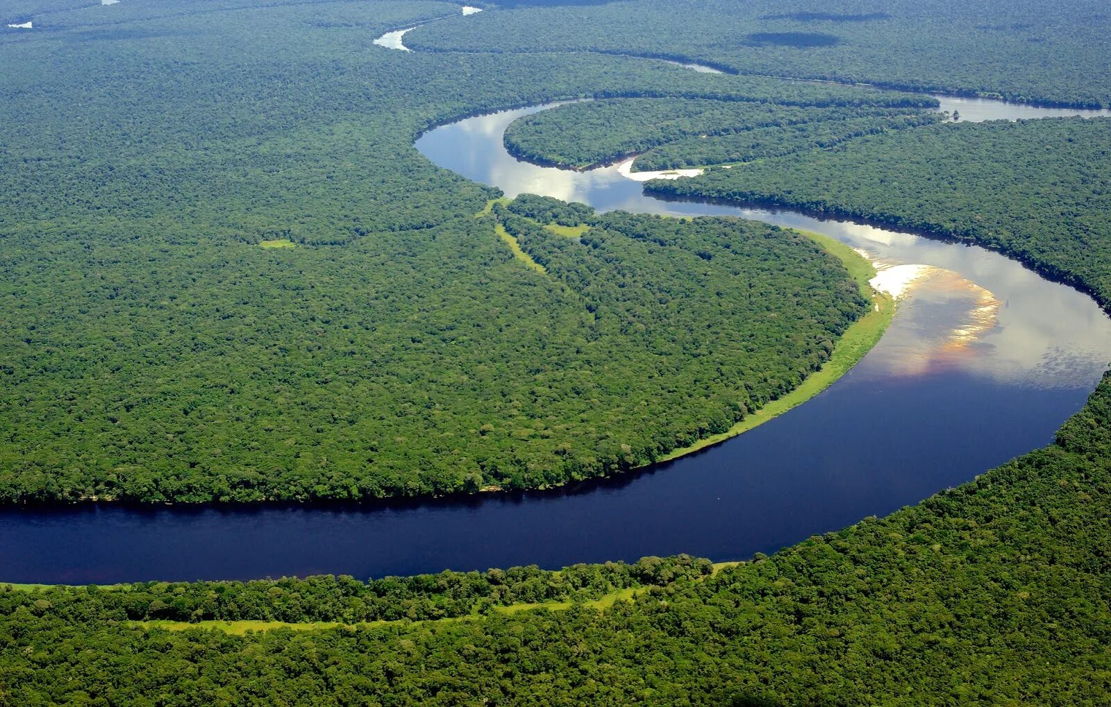 Амазонка какое устье. Река Конго в Африке. Конго Заир река. Река Конго национальный парк Салонга. Национальный парк Салонга в Африке.
