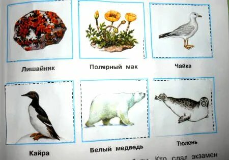 И правильно расположи их