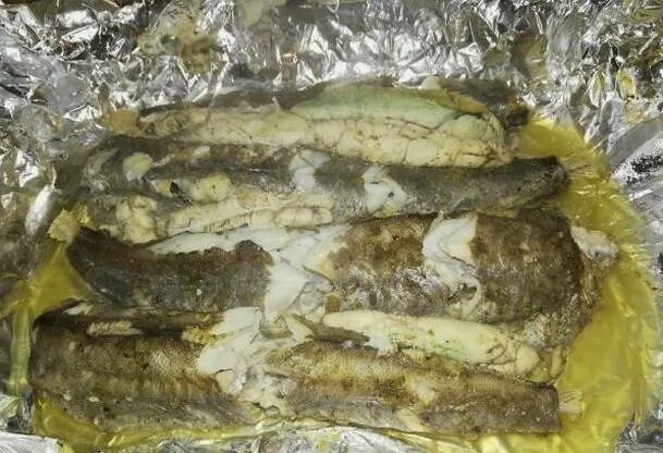 Толстолобик рыба. Сом запеченный в духовке. Сом в духовке в фольге. Сом в духовке в фольге кусочками. Сом в духовке в фольге.
