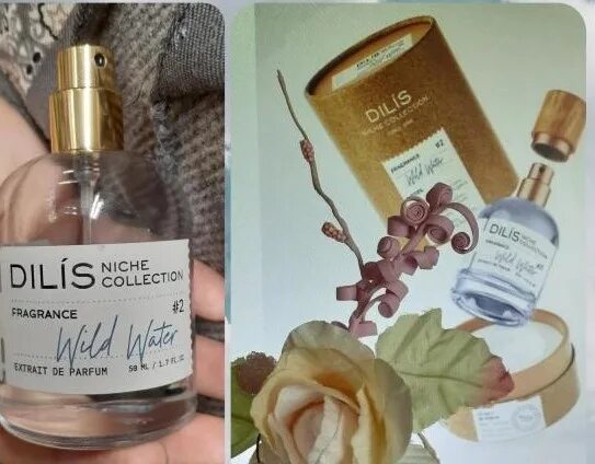 Духи niche collection. Духи Dilis Niche collection. Dilis Parfum Niche collection духи. Dilis Niche collection духи Wild Water. Dilis Niche collection аналоги.